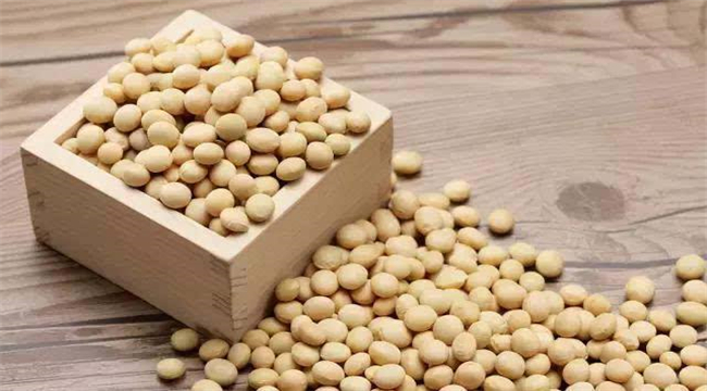 豆沙大豆组织蛋白食品生产许可证办理注意事项